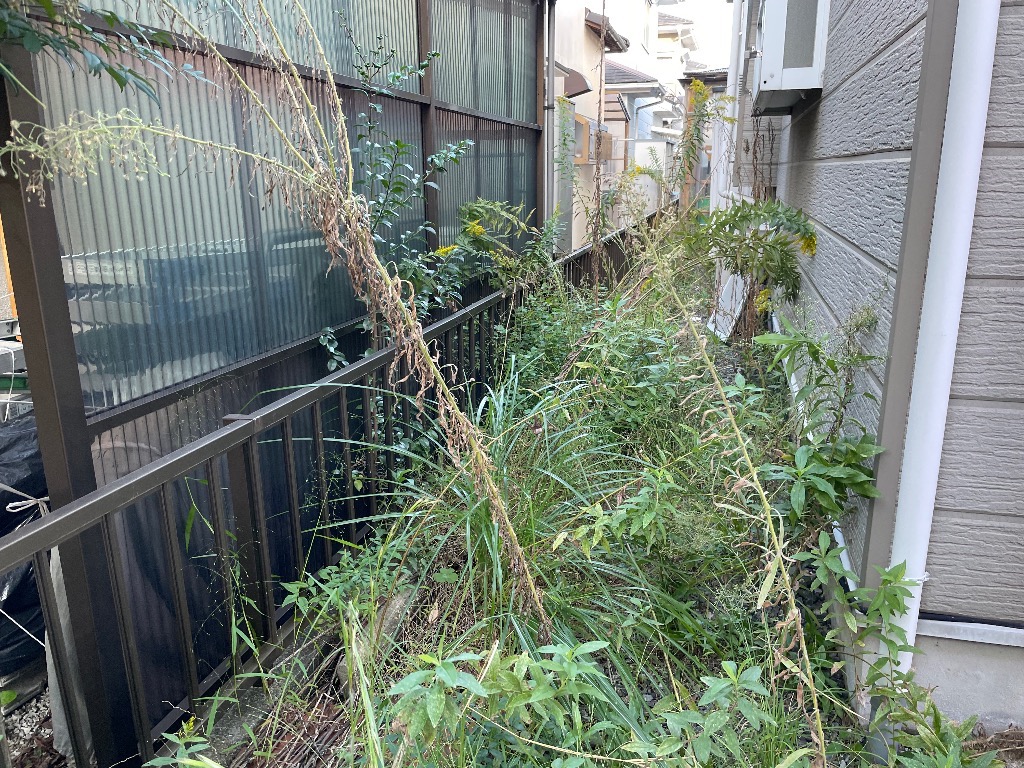 彦根市　個人宅　除草作業