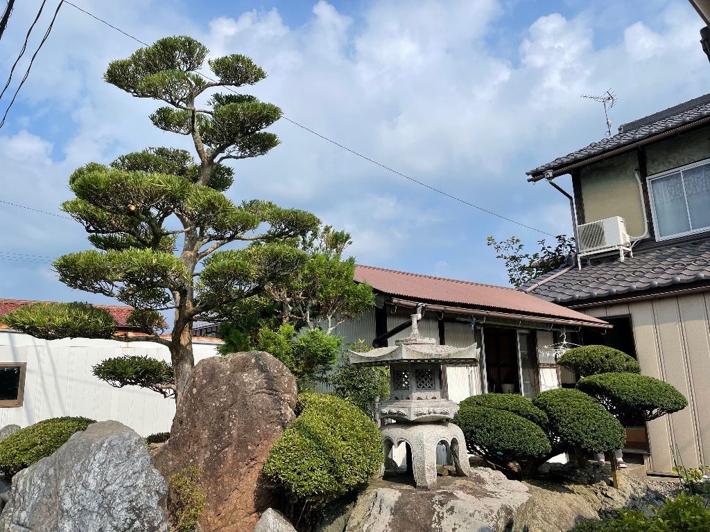 長浜市　個人宅　剪定(葉刈り)